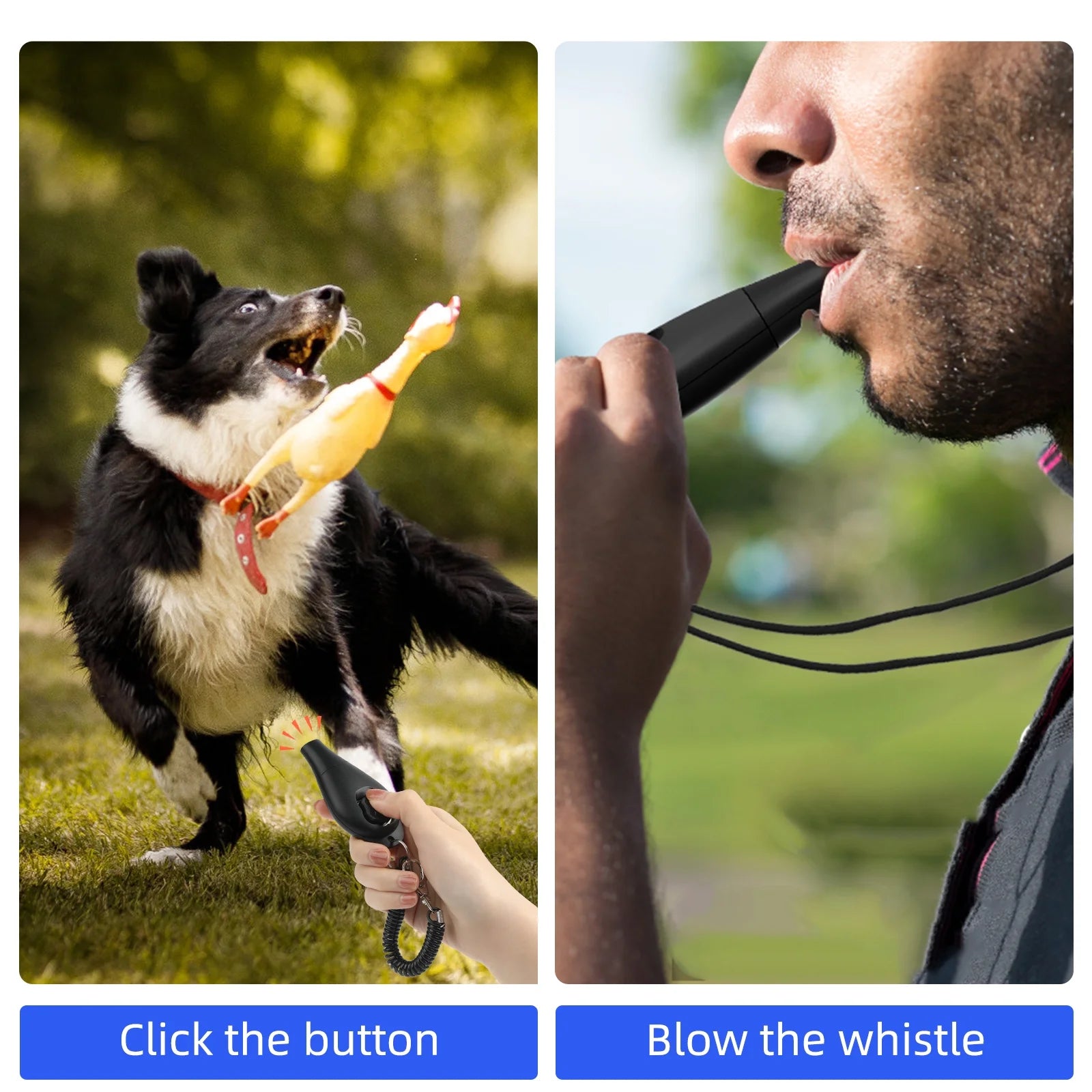 2 in 1 Dog Clicker and Whistle with Wrist Strap & Halter Rope, Perfect for Puppy Pet Behavior Training, Durable Lightweight Easy to Use, 2 Pack